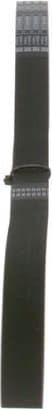 V-ribbed Belt 1987946036 - image 6