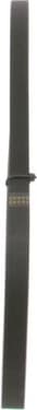 V-ribbed Belt 1987947902 - image 6
