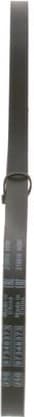 V-Belt 1987947782 - image 6
