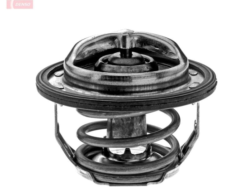 Thermostat, coolant DTM82461