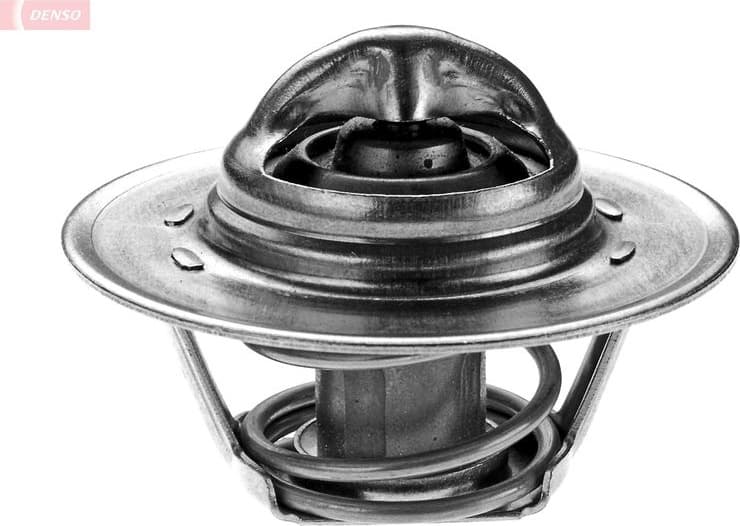 Thermostat, coolant DTM89276