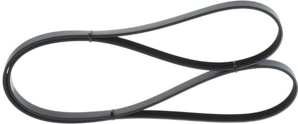 V-Ribbed Belt 1987946290 - image 5