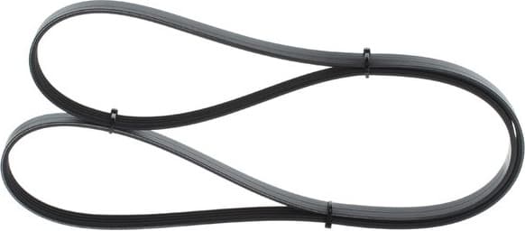 V-Ribbed Belt 1987946290 - image 7