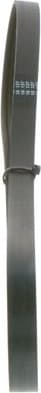 V-ribbed Belt 1987945739 - image 6