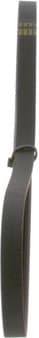 V-ribbed Belt 1 987 947 571 - image 6