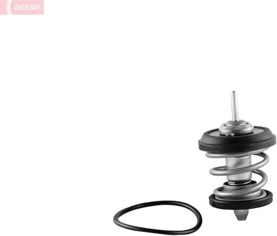 Thermostat, coolant DTM95707