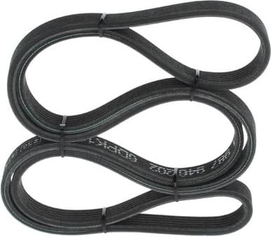 V-ribbed Belt 1987946202 - image 5
