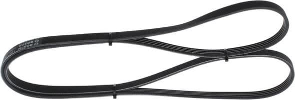 V-ribbed Belt 1987947907 - image 5