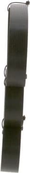 V-ribbed Belt 1987947950 - image 6