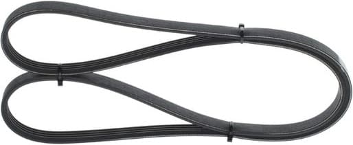 V-ribbed Belt 1987948380 - image 7