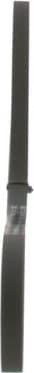 V-ribbed Belt 1987947899 - image 6