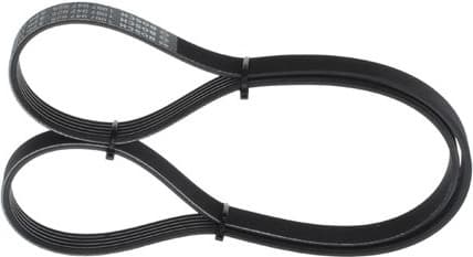 V-ribbed Belt 1987947925 - image 4