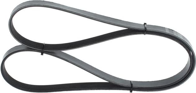 V-ribbed Belt 1987946029 - image 9