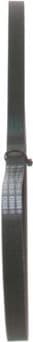 V-ribbed Belt 1987948404 - image 8