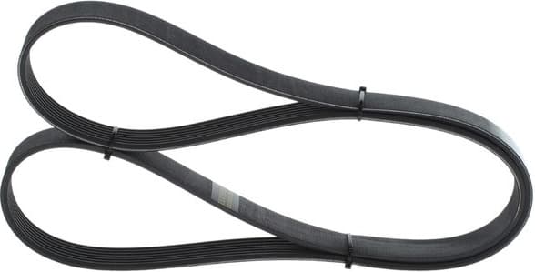 V-ribbed Belt 1987946254 - image 7