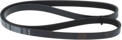 V-ribbed Belt 1987948312 - image 7