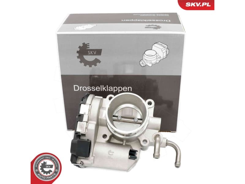 Throttle Body 12SKV142
