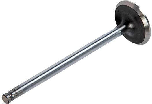 Intake Valve 01-24401-SX - image 3