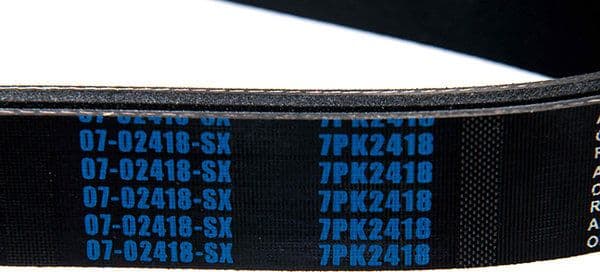 V-ribbed Belt 07-02418-SX - image 3