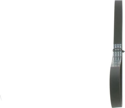 V-ribbed Belt 1987946011 - image 6