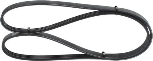 V-ribbed Belt 1987946007 - image 7