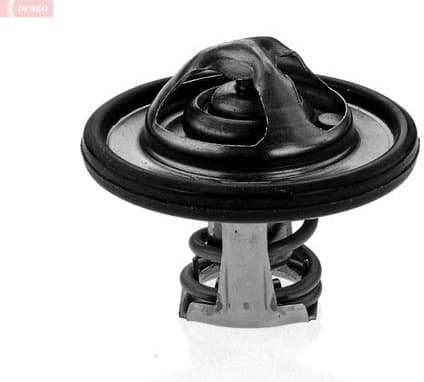 Thermostat, coolant DTM82531