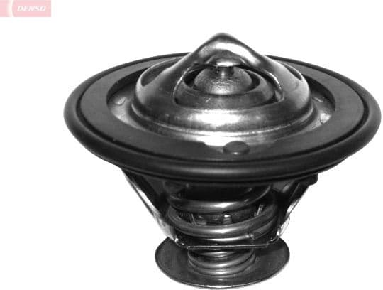 Thermostat, coolant DTM77614