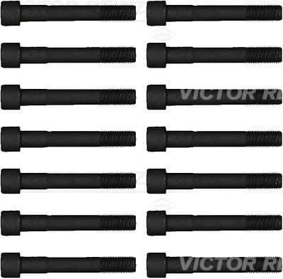 Cylinder Head Bolt Set 14-55065-01