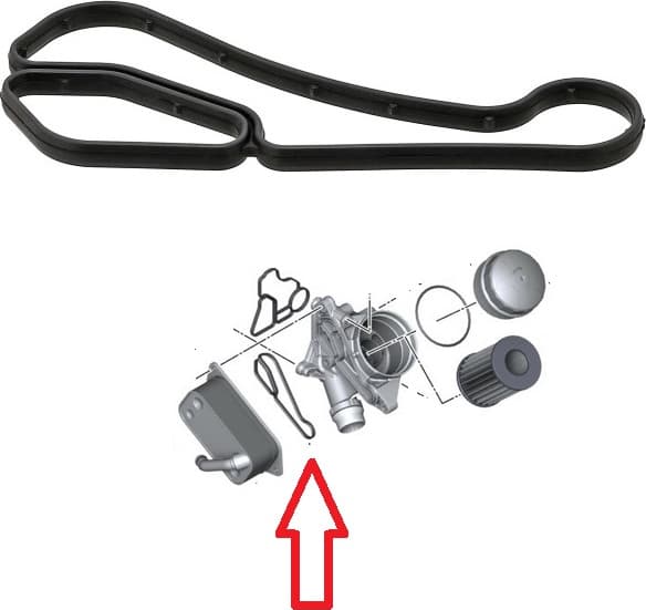 Gasket oil cooler 306.750 - image 3