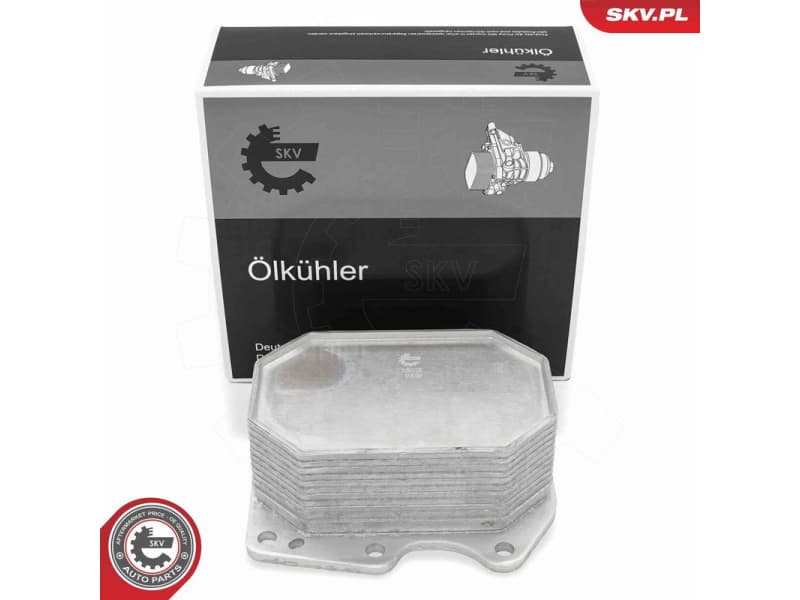 Oil Cooler, engine oil 31SKV320