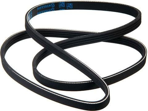 V-ribbed Belt 04-01180-SX
