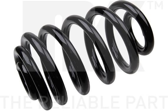 Suspension Spring 541549