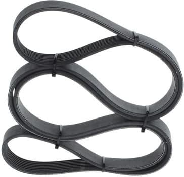 V-ribbed Belt 1987947562 - image 7