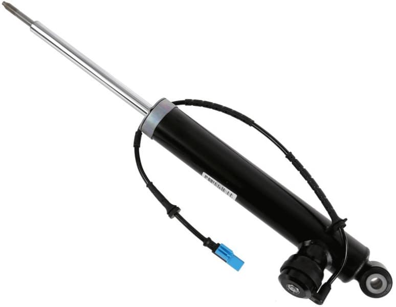 Shock Absorber CDC 319 110