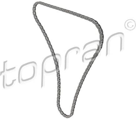 Timing Chain 504 096