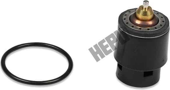 Thermostat, coolant TM1241