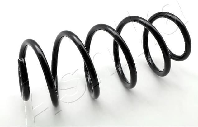 Suspension Spring ZCA3559H