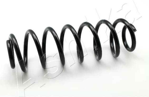 Suspension Spring ZCA5546H