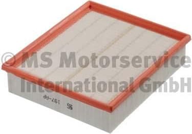 Air Filter 50013197