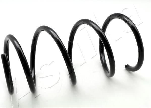 Suspension Spring ZCA1141G