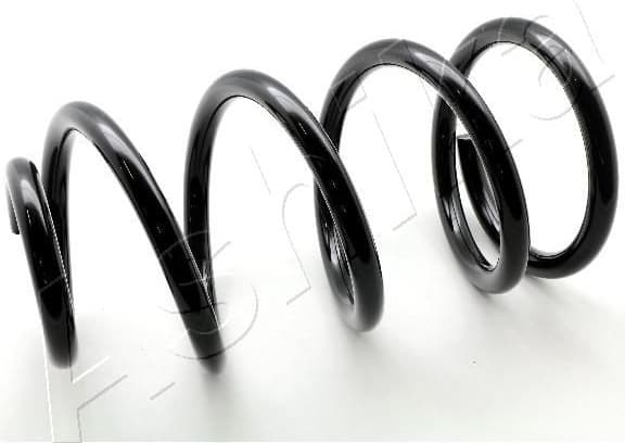 Suspension Spring ZCA2798C