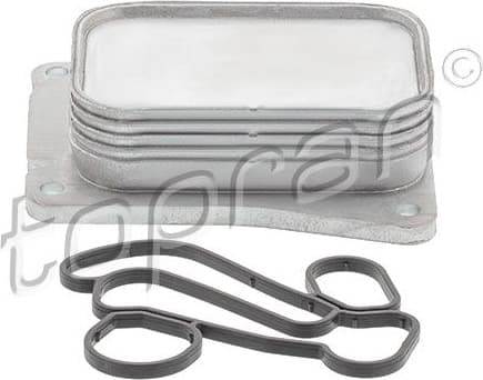 Oil Cooler, engine oil 625 258