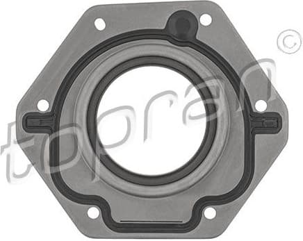 Shaft Seal, crankshaft 207 571