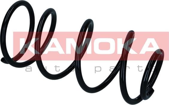 Suspension Spring 2110514