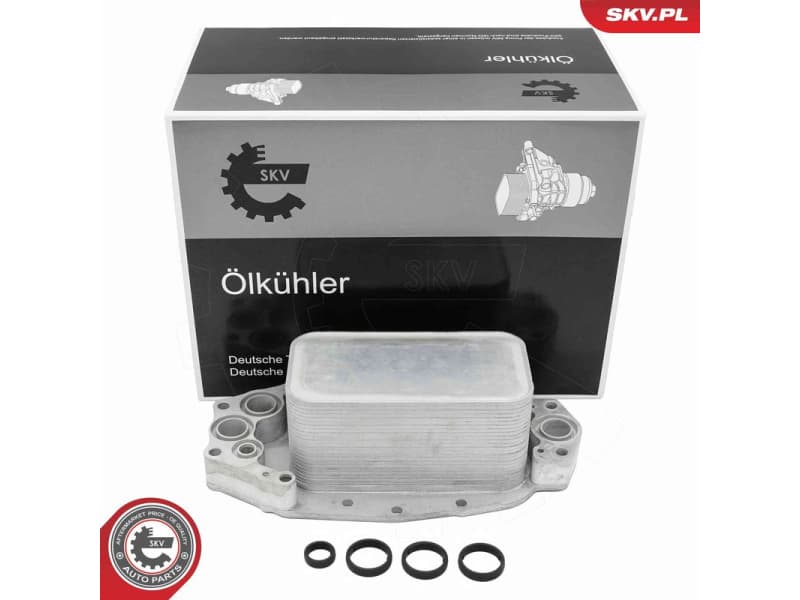 Oil Cooler, engine oil 31SKV369