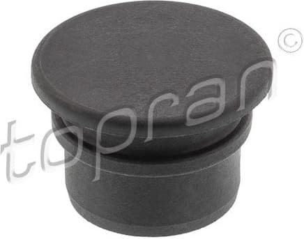Sealing Plug, coolant flange 119 966