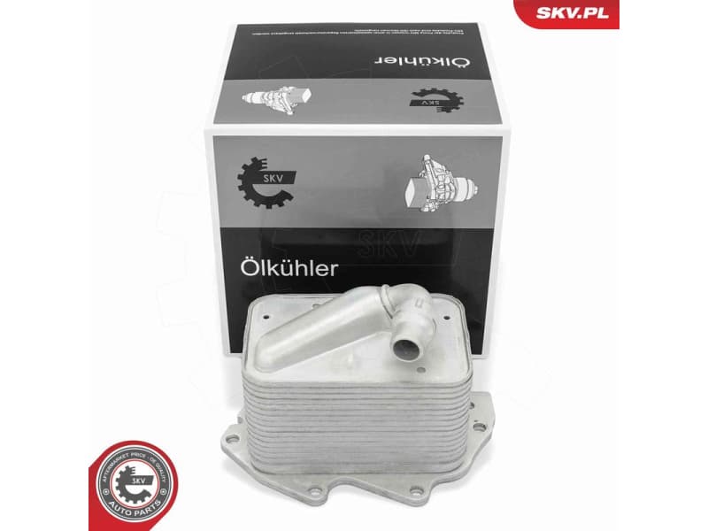 Oil Cooler, engine oil 31SKV368