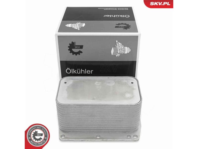 Oil Cooler, engine oil 31SKV344