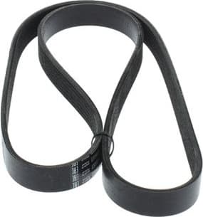 V-ribbed Belt 1987946888 - image 2