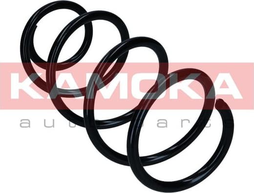 Suspension Spring 2110593